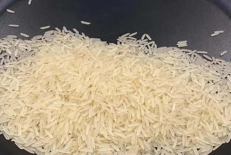 1509 Basmati Rice