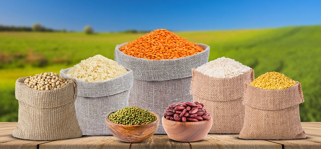 Welcome To Dewark Agro forest pvt Ltd