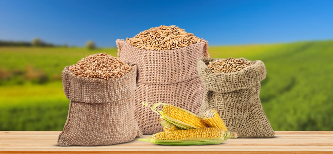 Barcoa International Fze