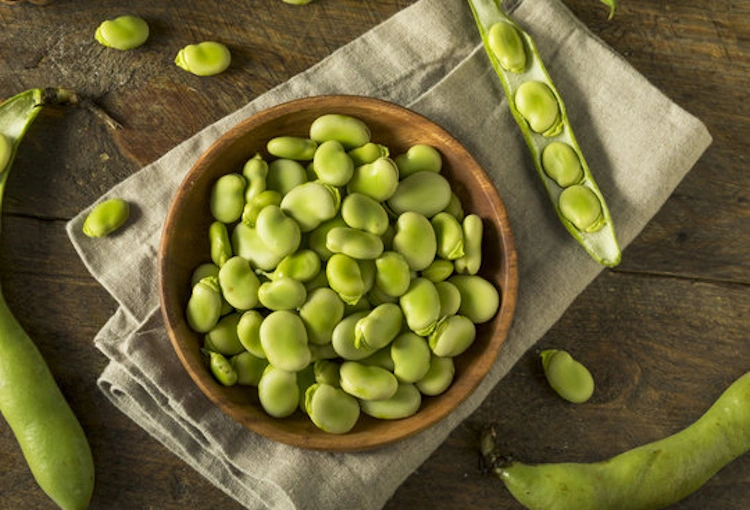 Broad Beans (Fava)