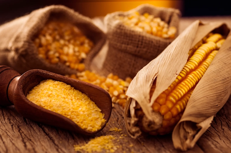 Corn Meal