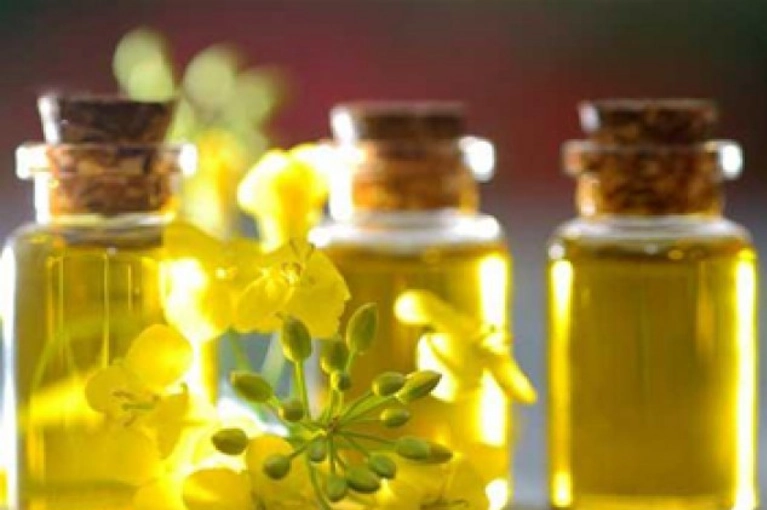 Crude Canola Oil