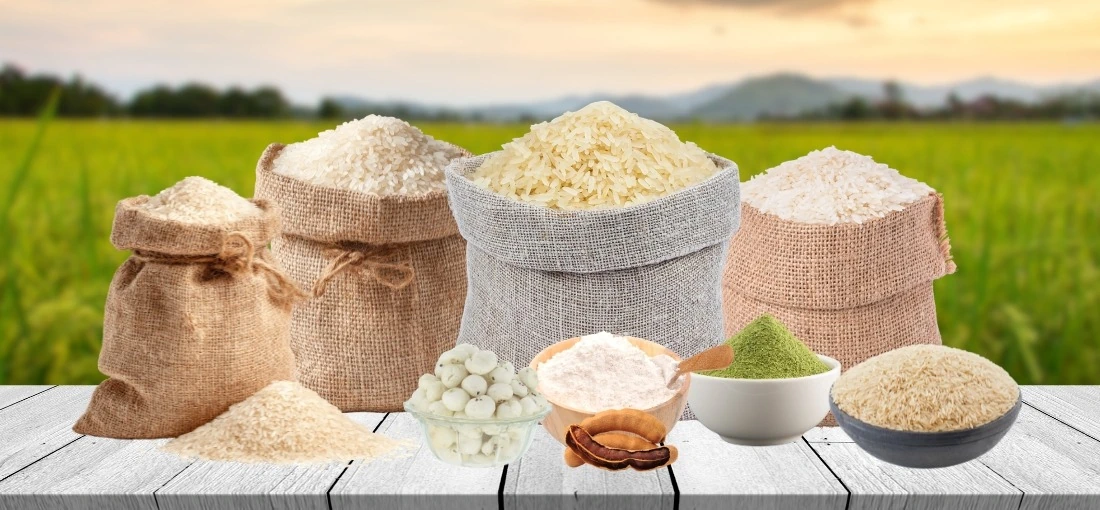 Welcome To Dhruva Export