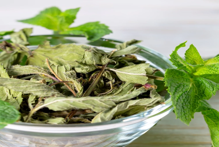 Dry Mint Leaves