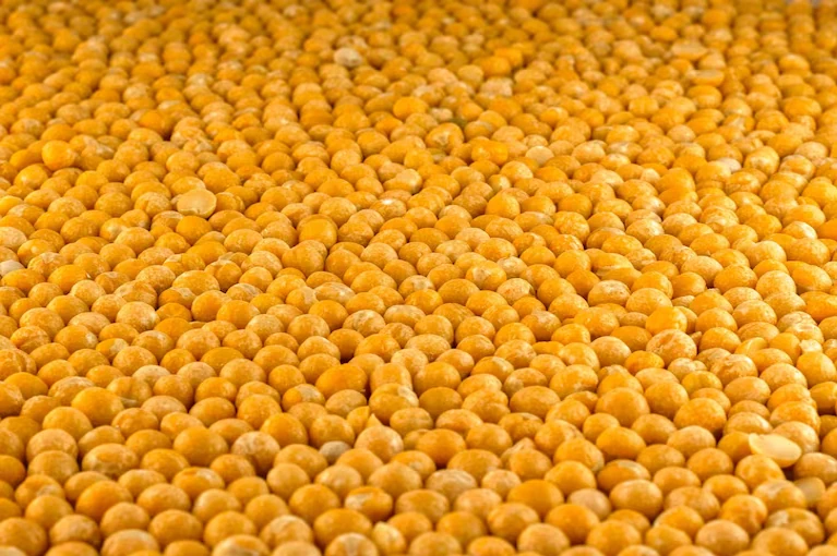 Field Peas (Yellow)
