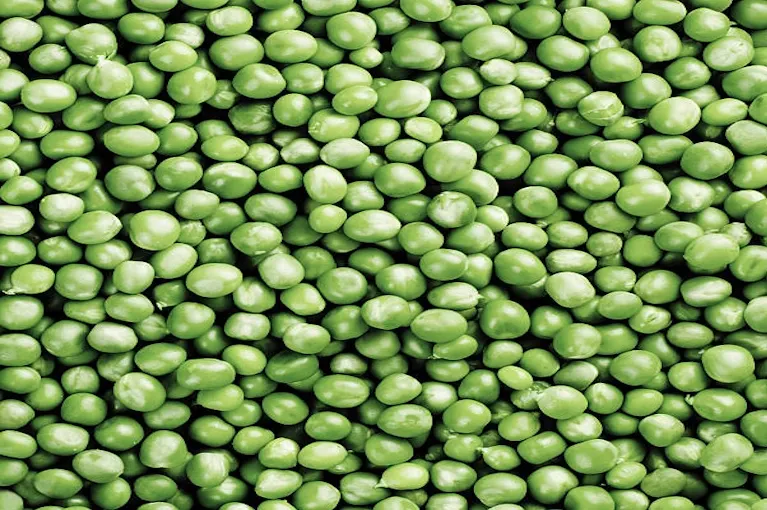 Field Peas (Green)