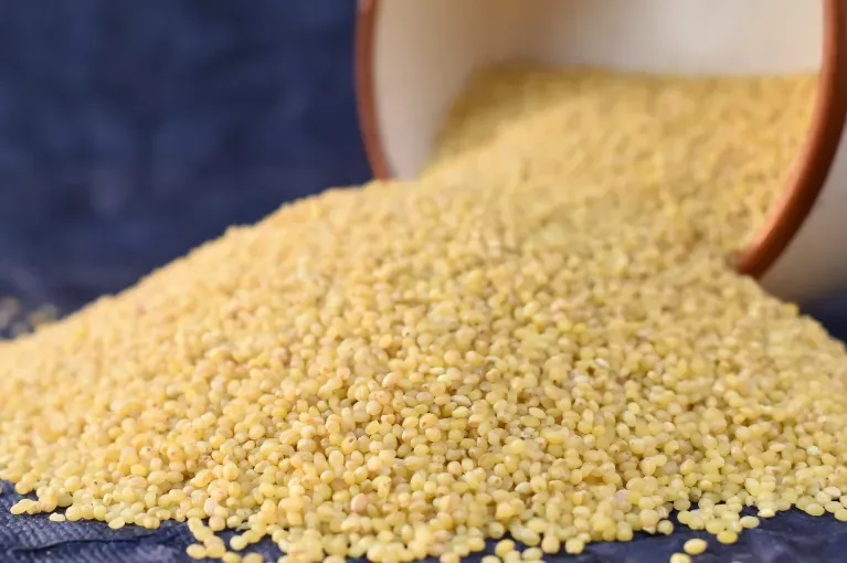 Foxtail Millet