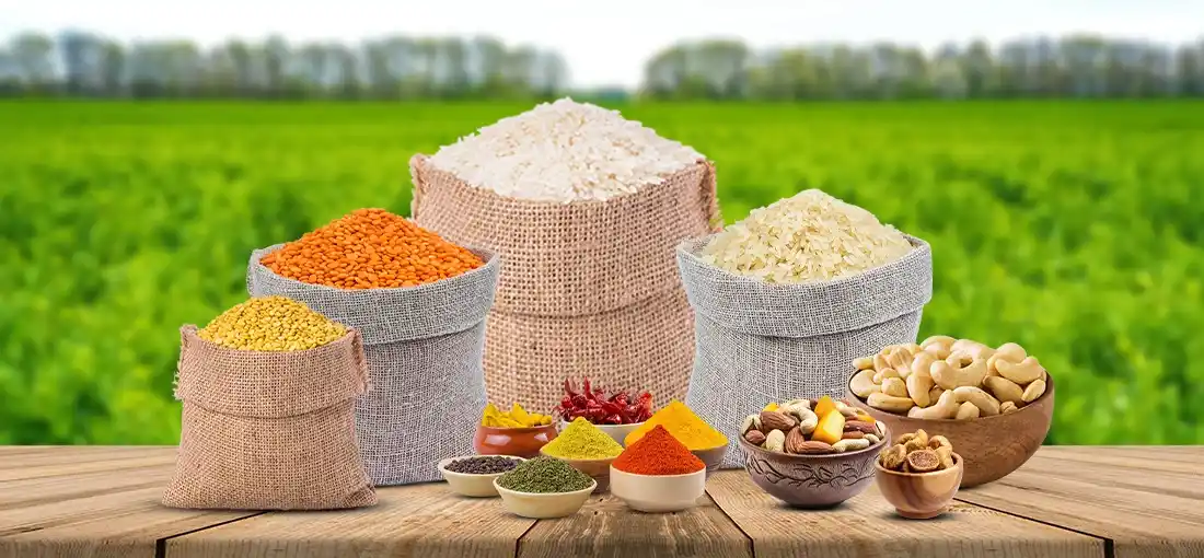 GAURDESA INTERNATIONAL