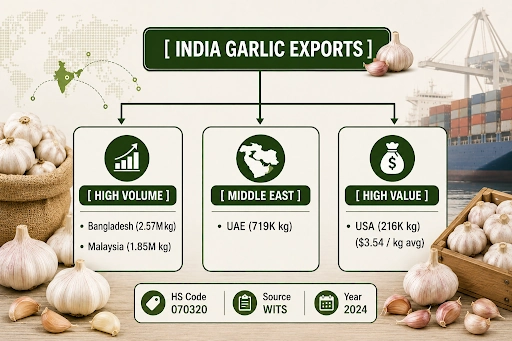 india-garlic-exports