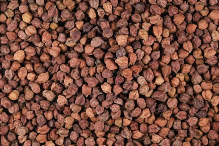 Black Chana