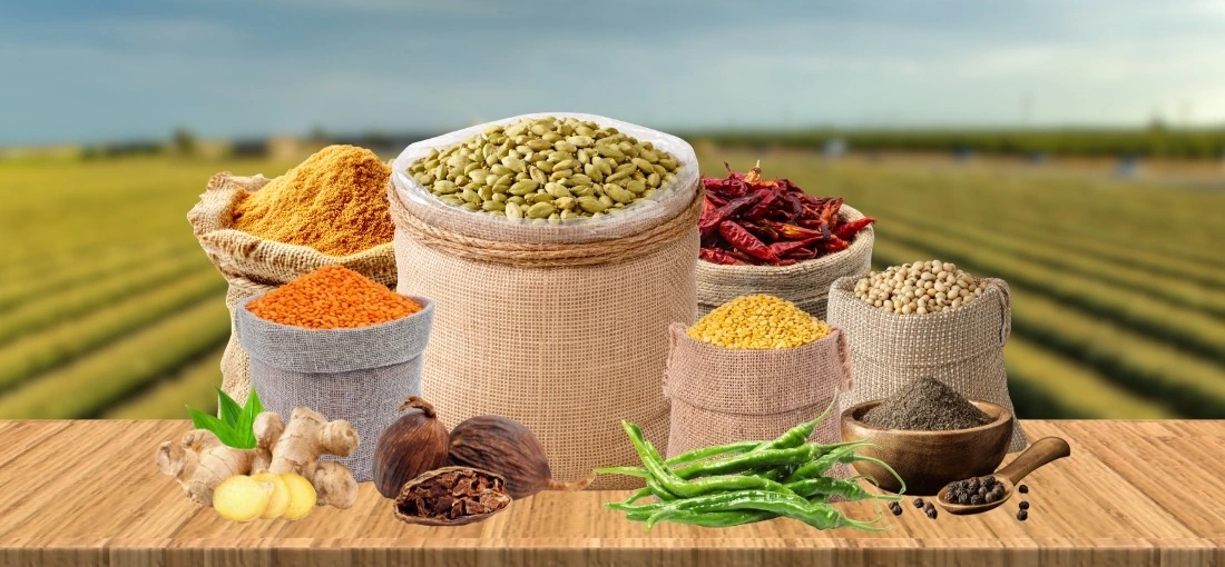 Lahoti Trading Company