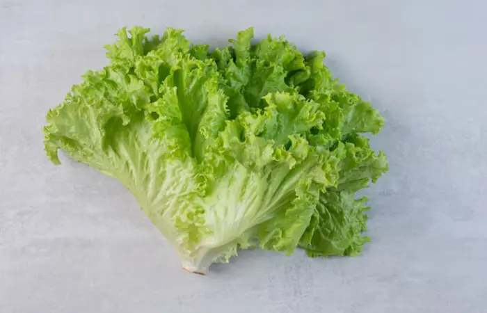Lettuce