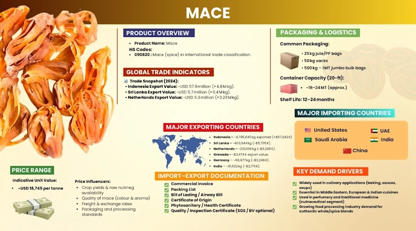 mace-overview