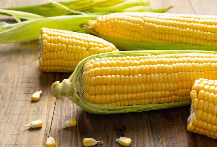 Maize
