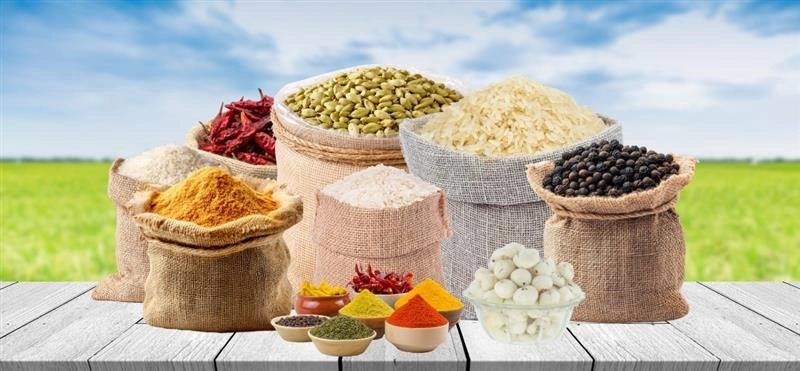 PKP India Export Pvt Ltd
