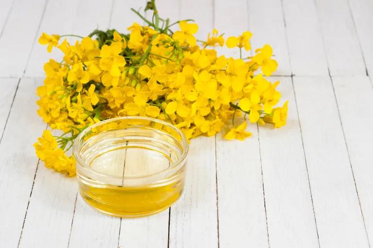 Rapeseed Oil / Canola Oil