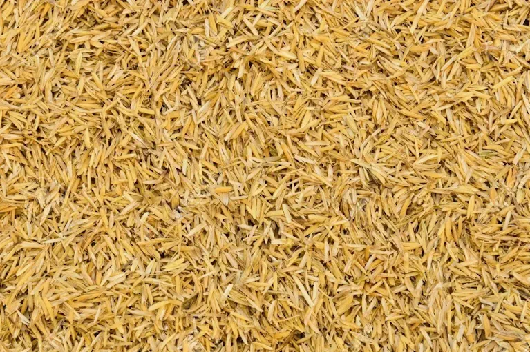 Rice Husk