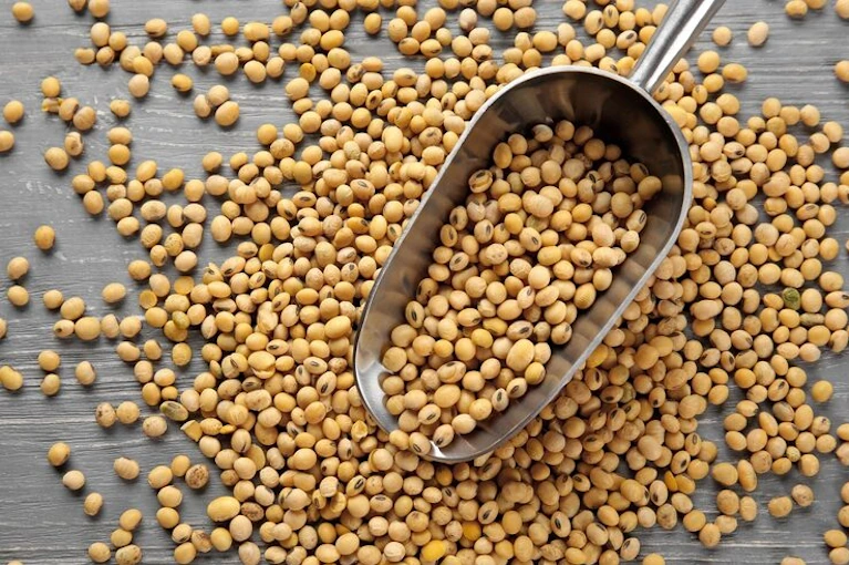Non-GMO Soybean Seed