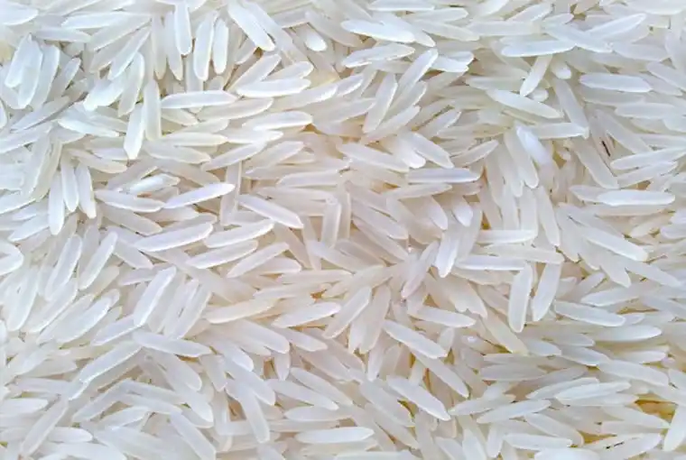 Sugandha White Rice
