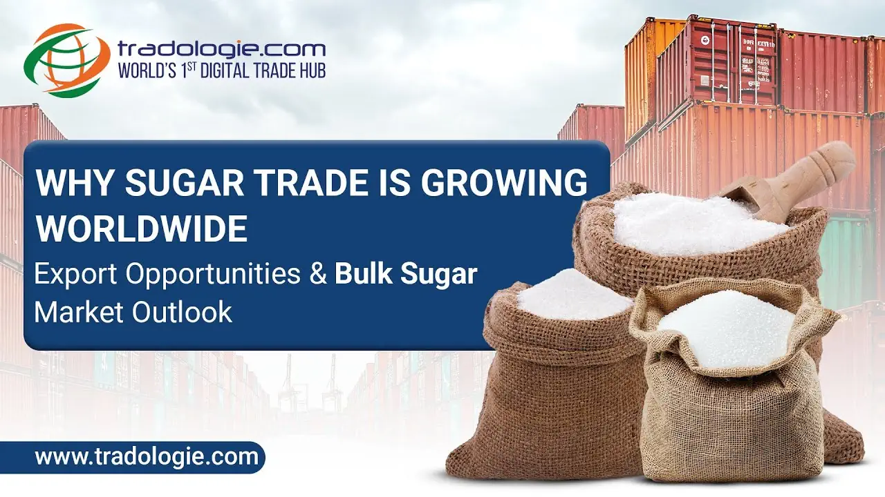 sugar-export-guide