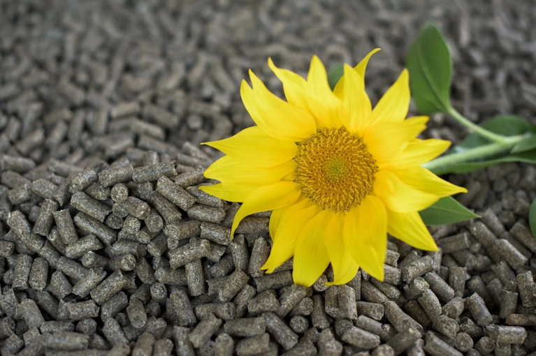 Sunflower Meal
