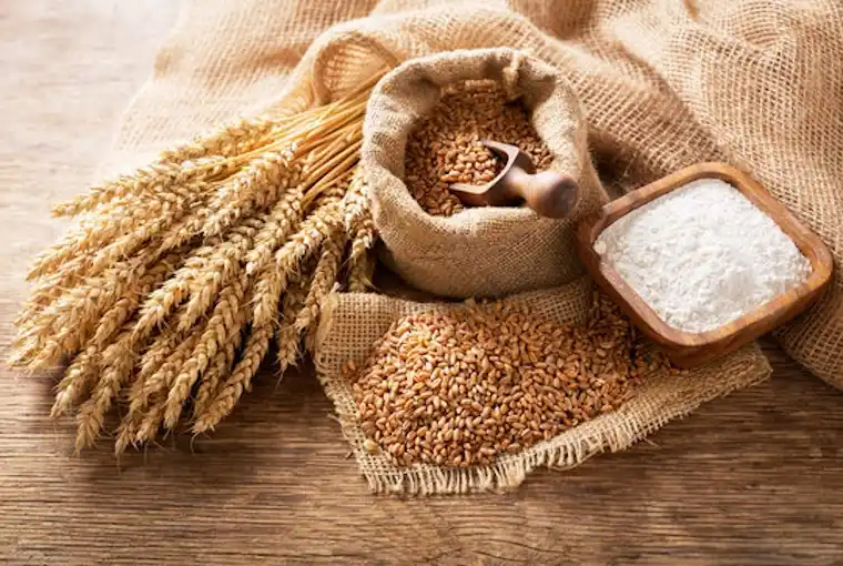 Organic Wheat Flour