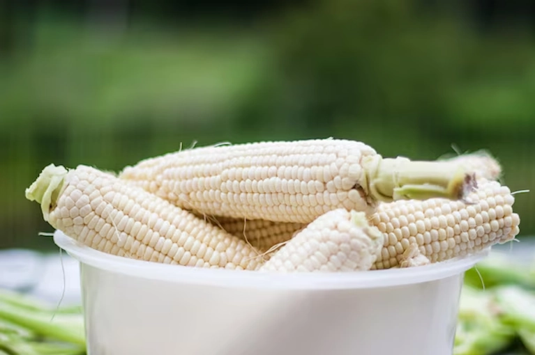 Corn White