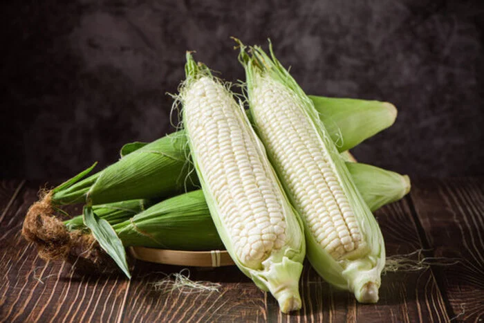 White Maize Non GMO