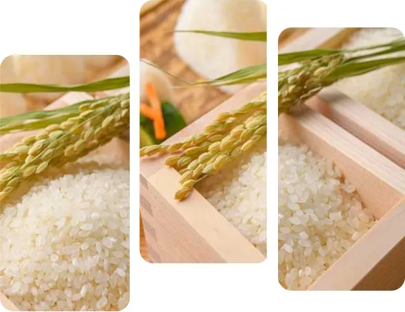 AB Msqaure Psqaure Home Appliances