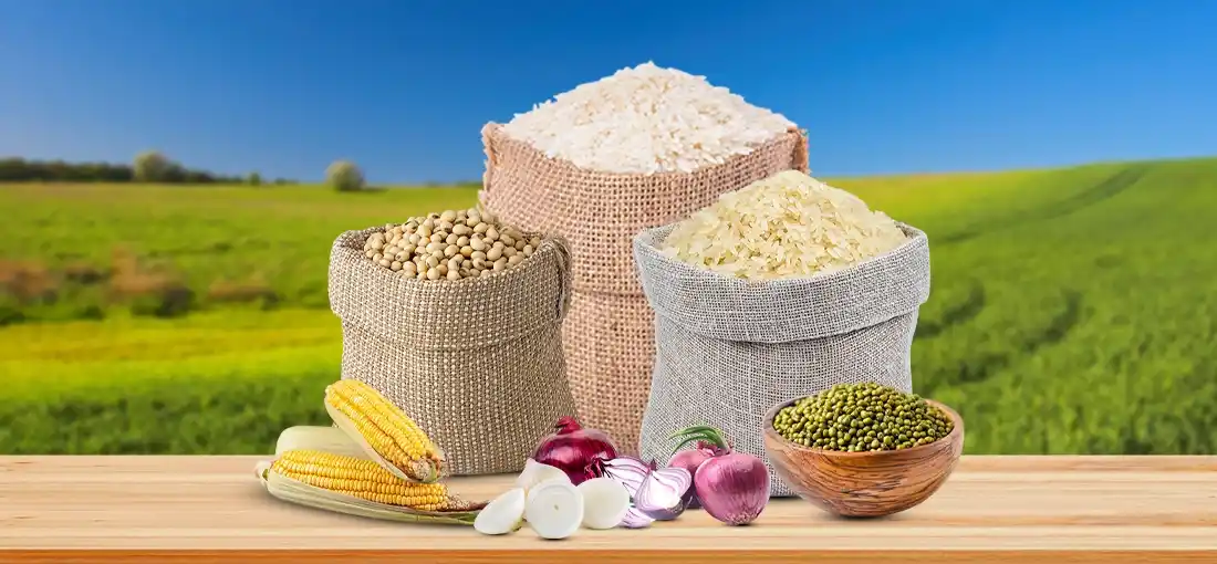 Agre teela Khedi Kissan farmers producer company pvt ltd