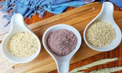 Agro Corp International Pvt. Ltd.