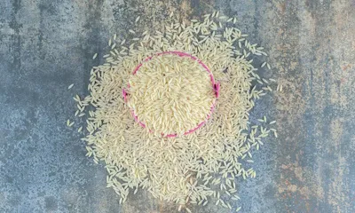 an-giang-import-export-company-slide