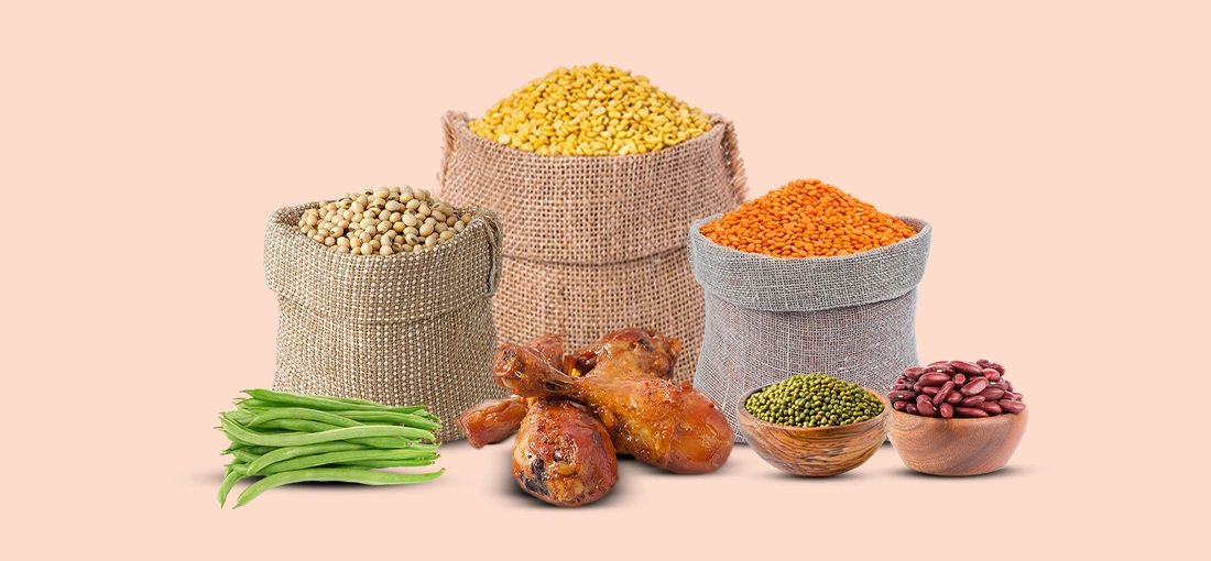 Arbaza Alimeatos Ltd