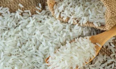 asia-union-exporting