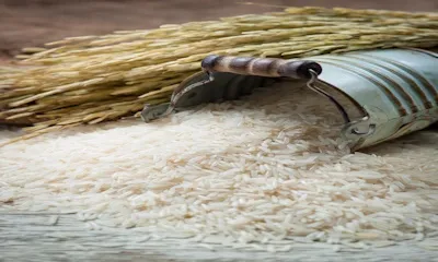 AYS MFG CO. LTD Avon Ruppe