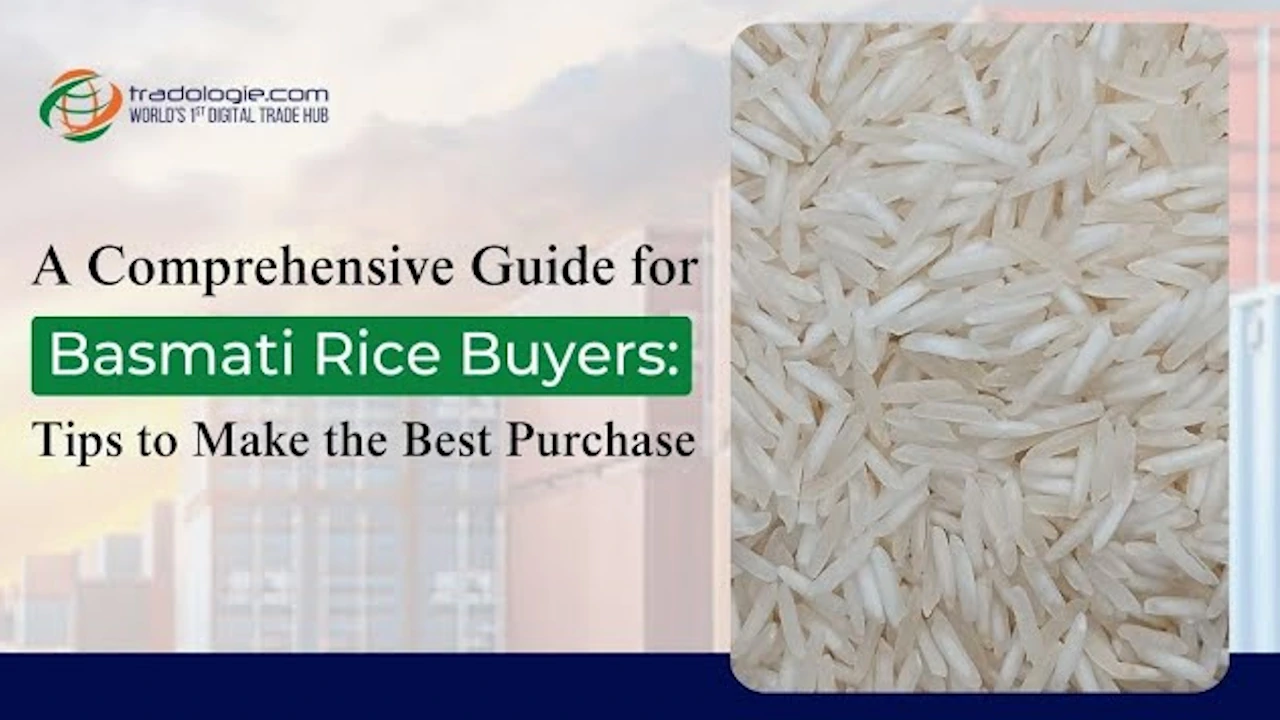 basmati-rice-buying-guide