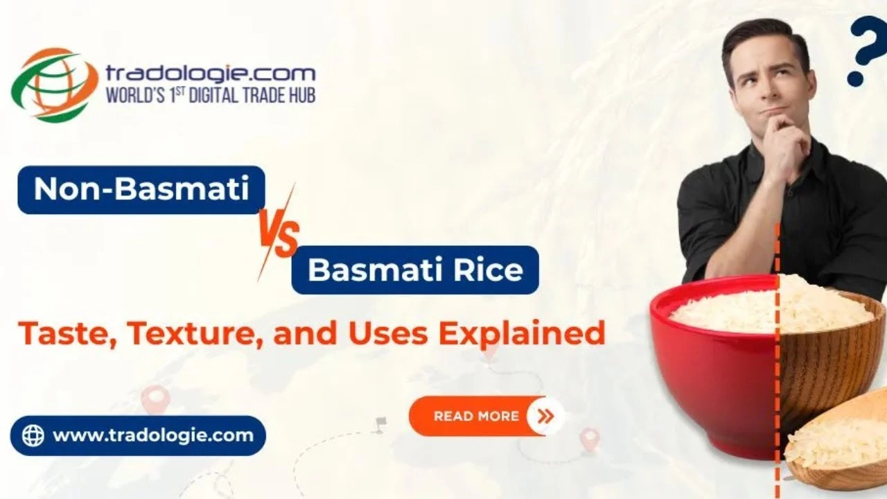 basmati-vs-non-basmati-rice