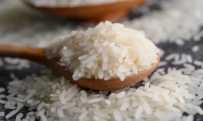 Bharat Cereals Pvt. Ltd.