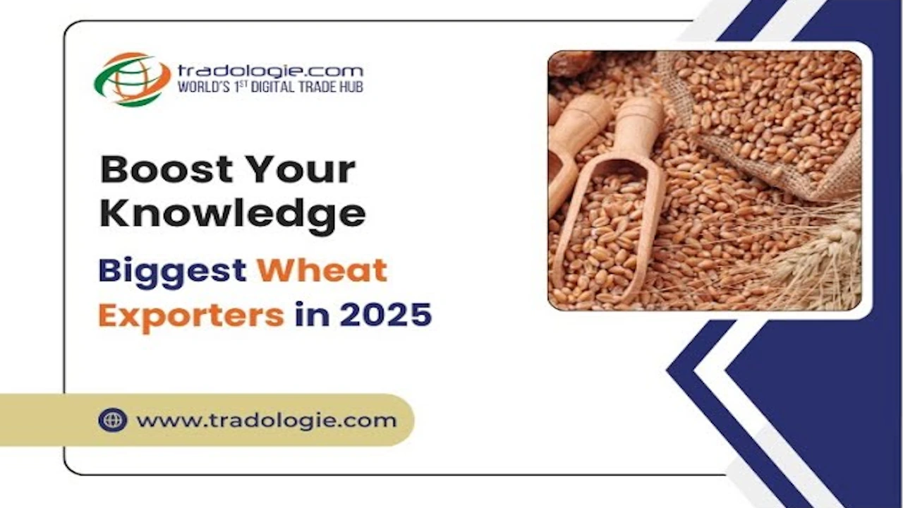 biggest-wheat-exporters