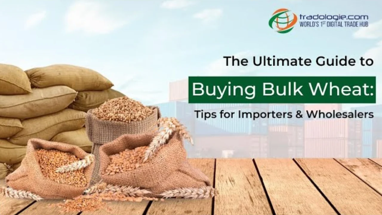 bulk-wheat-buying-guide