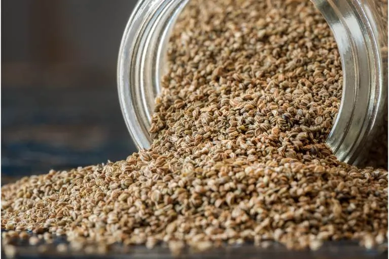 Celery Seeds