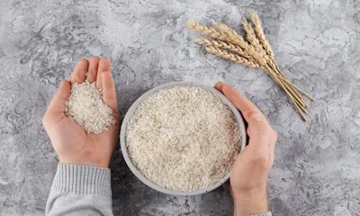 Chaman Lal Setia Exports Ltd