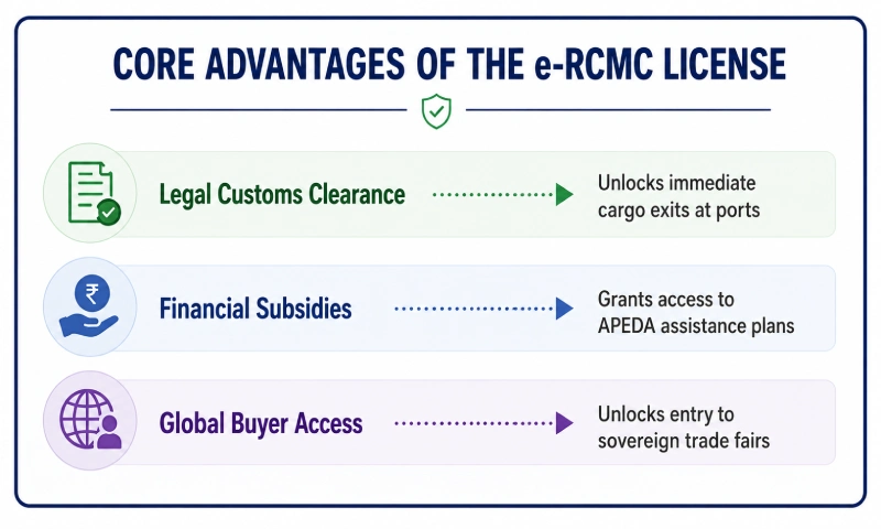 Core Advantages of the e-RCMC License