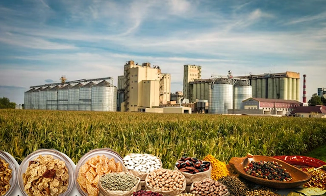 Here at Eminent Consumer Pvt. Ltd