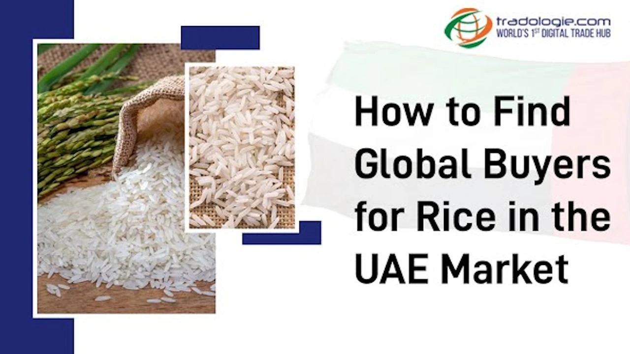 find-rice-buyers-uae
