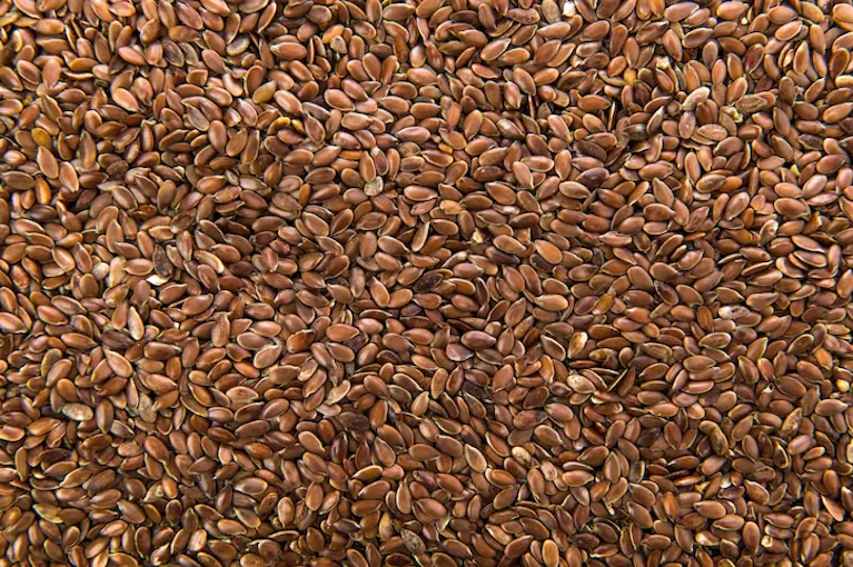 Flaxseed / Linseed