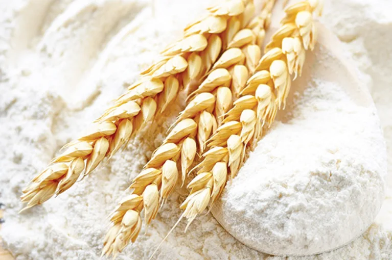 Fortified Wheat Flour