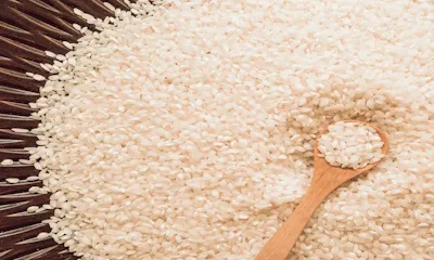 global-precies-rice-slide