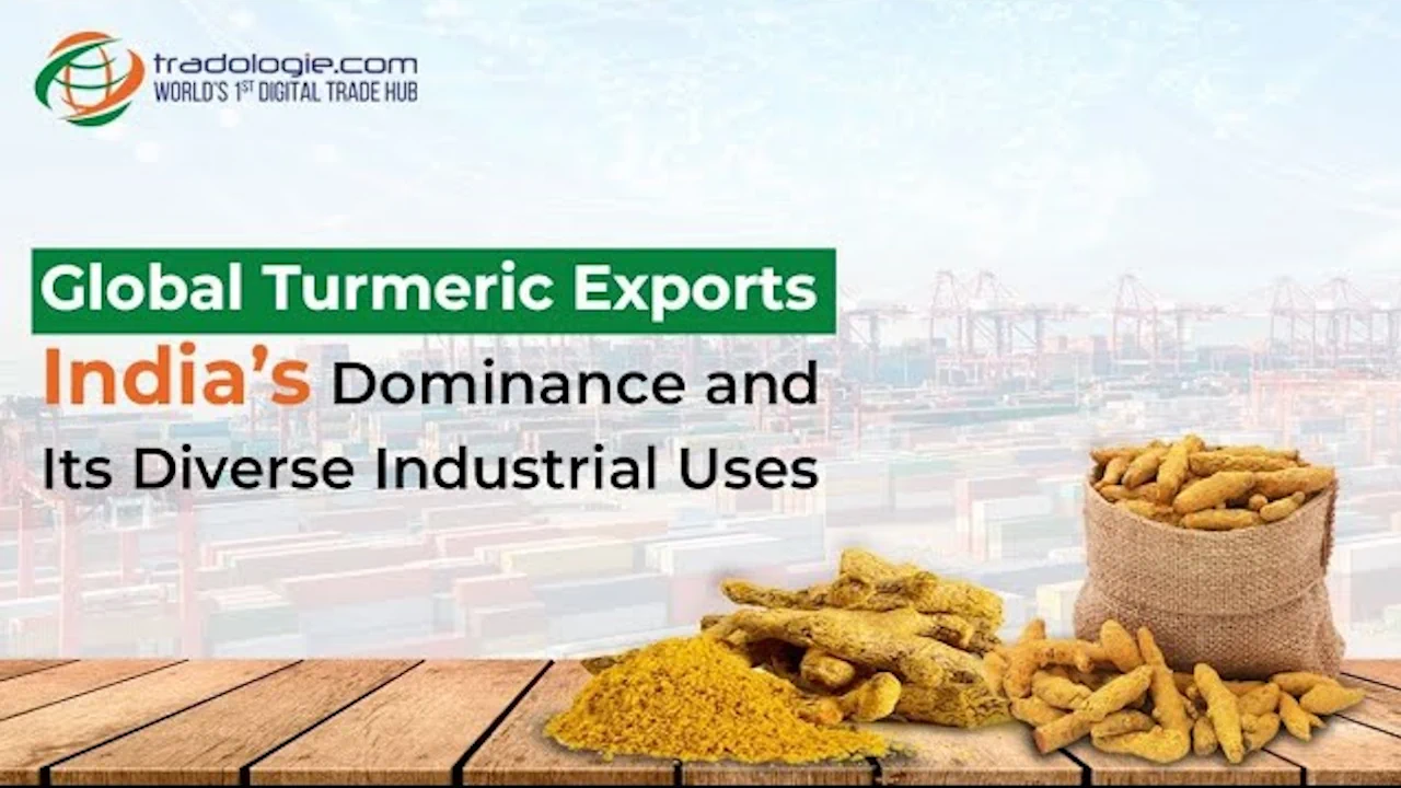 global-turmeric-export-market
