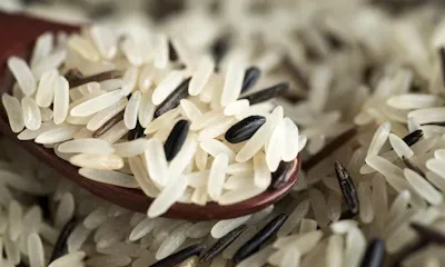 global-precies-rice-slide